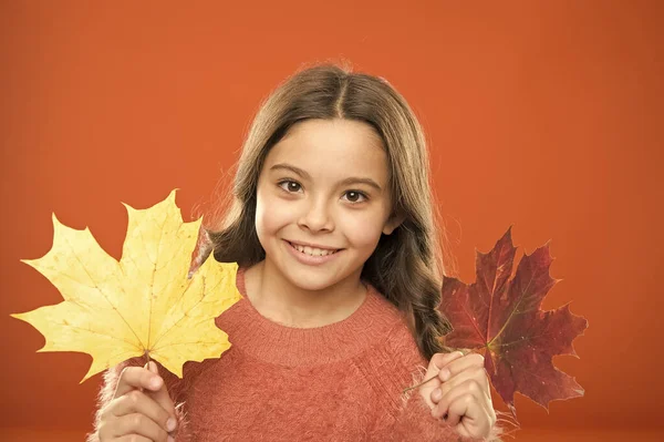 Soha ne hagyja ki a lehetőséget, hogy élvezze a természet szépségét Kislány mosolygó őszi levelek. Boldog őszi szezont. Őszi természet. Természetes szépség. Gyerek juharfalevél. Őszi festékek színekben — Stock Fotó