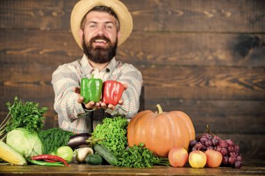 Tipik çiftçi. Çiftlik pazarı hasat festivali. Sebze sat. Olgun sakallı çiftçi adam sebzeleri ahşap arka planda tutar. Çiftçi hasat şapkası ve taze hasat. Ev yapımı hasat konsepti