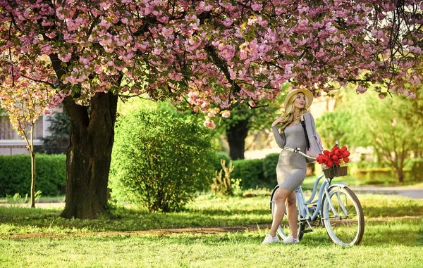 Die Reiseplanung. rosa blühende Sakura. Entspannung im Park. Mode und Schönheit. Damenfahrrad. romantisches Mädchen in der Sakura-Blüte. schöne Frühlingszeit Natur. Kirschbaum blühende Blumen — Stockfoto