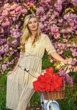 Bahar tatili. Turizm konsepti. Ulaşım ve seyahat. Sakura mevsimi. Flora ve botanik. Lale buketli kadın. Sakura ağacı çiçek açıyor. Günlük kıyafet retro kruvazör bisiklet sakura ağacı