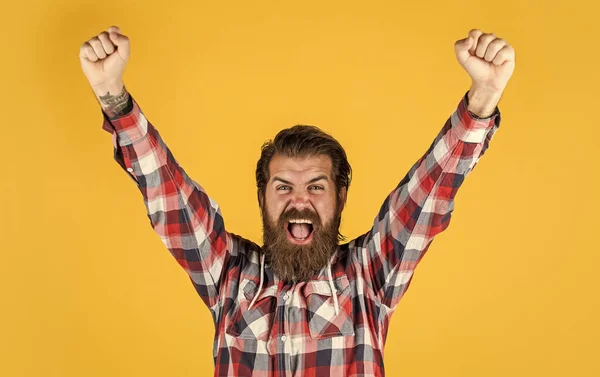 Pegar o sucesso. homem feliz brutal com barba em pé interior. Jovem e brutal. Homem brutal, confiante e bonito. retrato de homem barbudo bonito em camisa xadrez. homem vestindo roupas casuais — Fotografia de Stock