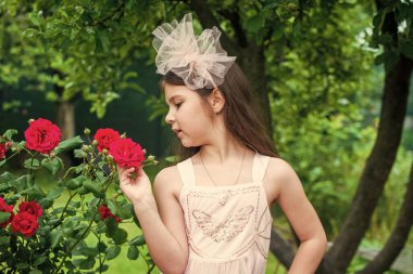 Küçük kız yaz parkında yürüyor doğa arka planı, bitki kavramını keşfediyor.