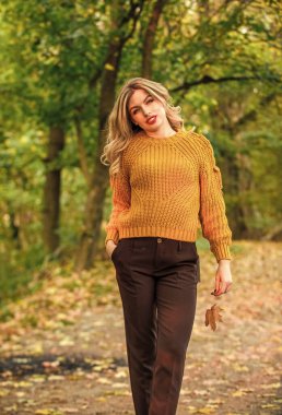 Sonbahar parkında yürü. Süslü kız örgü süveter giyiyor. Tarz tamamen denge ile ilgilidir. Yünlü süveter içinde kendini rahat hisseden muhteşem bir bayan. Moda kıyafetleri. Kadınlar kalın süveter giyer. Arka plan odaklanmaz.