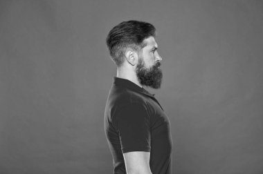 Çekiciliğine güveniyor. Sakallı ve havalı. Hipster görünümü. Sakal modası. Berber konsepti. Sakallı hippi adam, kırmızı arka plan. Berber ipuçları. Güzellik standardı. Mükemmel erkek. Berber dükkanı modeli