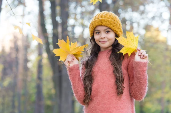 Beau gosse aux cheveux longs tenir jaune feuilles d'érable tombées portant chapeau tricoté et pull chaud dans la forêt d'automne, beauté de la nature — Photo