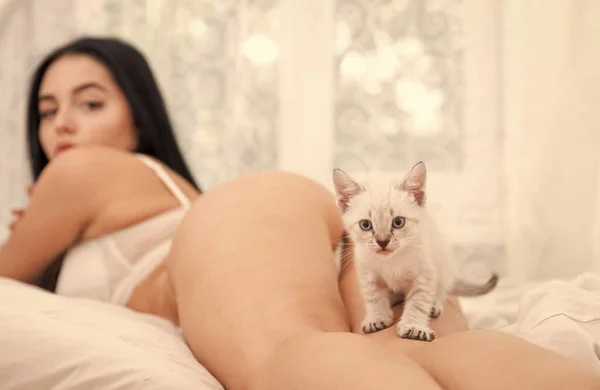 Παίξε με την Κίτι. Γάτα και κυρία. Παιχνιδιάρα γυναίκα και τρυφερή γάτα στην κρεβατοκάμαρα. Σέξι μοντέλο λείο δέρμα γυμνό σώμα παίζουν αξιολάτρευτο γατάκι. Πανέμορφο ελκυστικό κορίτσι χαλαρώστε με χαριτωμένο γατάκι. Παίζοντας τη γάτα στο κρεβάτι — Φωτογραφία Αρχείου