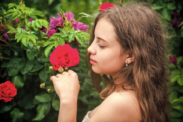 Chica perfecta piel disfrutando de rosa flor aroma de cerca, concepto de cosmética natural — Foto de Stock