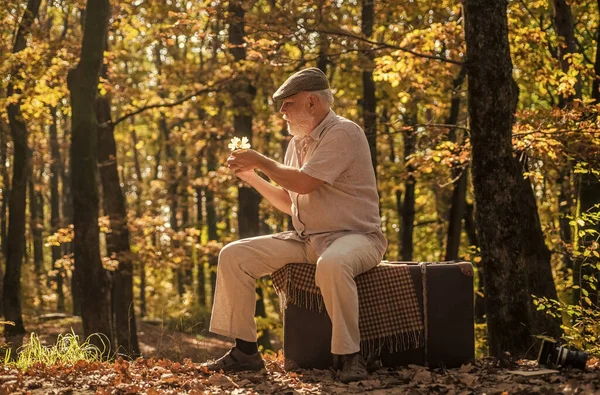 Avô com mala vintage na natureza. Unidos à natureza. Fim de semana na natureza. Férias e relaxe. Conceito de reforma. Idosos. Homem maduro com barba branca na floresta. Passatempo e lazer — Fotografia de Stock