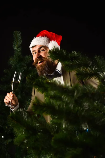Διευθυντής με γένια κρύβεται πίσω από φαλακρό χριστουγεννιάτικο δέντρο. — Φωτογραφία Αρχείου
