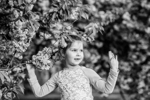 Hermosa belleza floral. Fondo de flor de cerezo chica. Feliz vacaciones de primavera. Disfrute del olor de la floración tierna día soleado. Sakura concepto de flor. Parque y jardín. Niña pequeña en flor de primavera —  Fotos de Stock