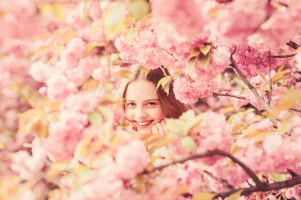 Perdu en fleurs. Fille appréciant la fleur de cerisier sakura. Enfant mignon profiter de la chaude journée de printemps. Tendre floraison. Touriste fille posant près de sakura. Enfant sur des fleurs roses de fond de sakura. Concept botanique — Photo