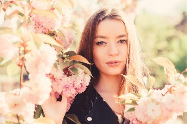 Kiraz çiçekli kız. Sakura ağacı çiçek açıyor. Yumuşak ve yumuşak. Muhteşem çiçek ve dişi güzellik. Pembe cennet. Bahar çiçekli kadın çiçek açar. Cilt bakımı ve spa. Cilt için doğal kozmetikler