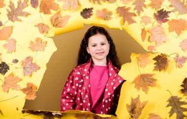 Sezon hava durumu. Sonbahar yapraklı çocuk. Moda yağmurluklu küçük kız. Sonbahar güzeli. Mutlu bir çocukluk. Yağmur koruması altında küçük bir kız. Sonbahar modası. Çocuk pozitif ruh halinde. Kalmak için mükemmel bir yer