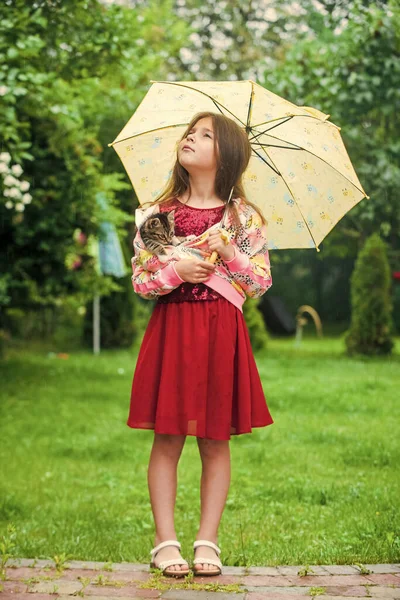 Petite fille porter chaton mignon chat sous parapluie, concept de petit ami — Photo