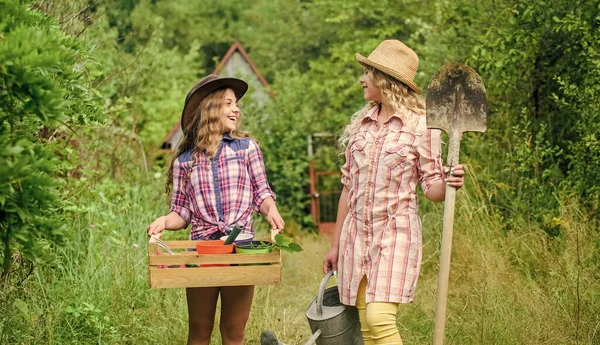 Les bases du jardinage. L'été à la campagne. Des soeurs qui aident dans la cour. Les outils de jardin adaptés aux enfants assurent la sécurité du jardinier enfant. Filles avec des outils de jardinage. Jardinage enseignement cycle de vie processus — Photo