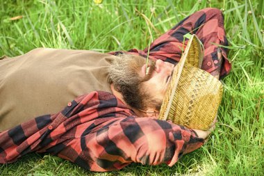 Yaz sezonu mükemmeldi. Vahşi çiftlik hippileri kareli gömlek giyer. Çiftçilik ve tarım. Hasır şapkalı rahat bir çiftçi. Yetişkin bahçıvan yeşil çimlerde rahatlar. Bahar doğasının tadını