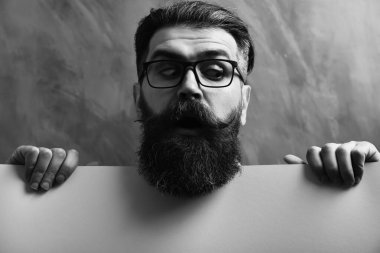 Sakallı adam, gözlüklü vahşi beyaz hippi.