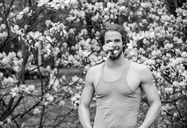 sakura smell. enjoy good weather. spring holiday. Male sexuality. man natural seasonal background. allergy. sexy guy blooming magnolia flower tree. feel refreshed. I am free. macho man
