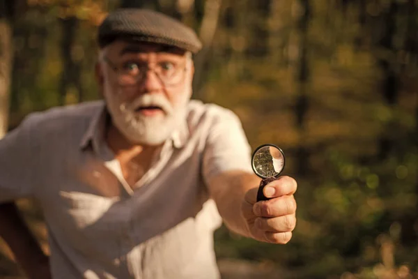 Zooma in. Nyfikenhetskoncept. Picky detektiv i skogen. Utforska naturen. Pensionär med förstoringsglas utforskar skogen selektivt fokus. Gamle vetenskapsman. Skäggig farfar i skogen. Privata utredningar — Stockfoto