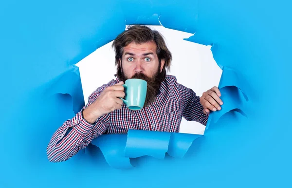 male hipster drink the tea. mature guy with mug. hot beverage drink. concept of refreshing. brutal bearded man drinking coffee from cup. man torn blue background