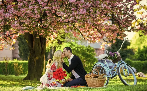 Şehvetli bir öpüşme. Piknik randevusu olan bir çift. Bahar hafta sonu. Hazinem. Romantik teklif. Mükemmel randevularının tadını çıkarıyorlar. Bisikletli bir çift parkta dinleniyor. Şarapla romantik piknik — Stok fotoğraf