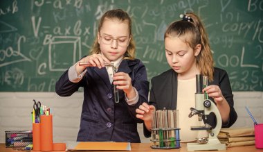 Özel okul. Okul projesi araştırması. Okul deneyi. Bilim konsepti. Doğal bilimler üzerine derin çalışma yapan spor salonu öğrencileri. Kızlar okul üniforması hipotezlerini kanıtlamakla meşgul.