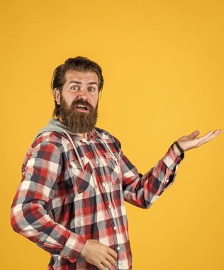 Sakallı adam ürün sunuyor. Saç ve sakal bakımı. Sakallı olgun bir hippi kareli gömlek giyer. Bıyıklı, vahşi, beyaz bir hippi. Erkek berber bakımı. Gündelik modelde manken