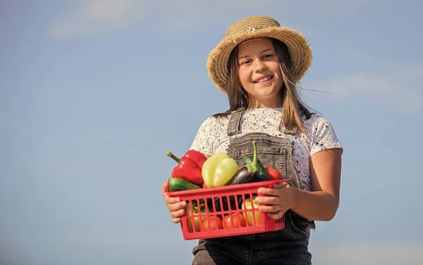 Nuestra comida. cosecha de vitamina. jardín del mercado de primavera. Verdura de niña en cesta. Es natural. comida saludable para los niños. niño en la granja de verano. Comida ecológica. pequeño granjero feliz. cosecha de otoño —  Fotos de Stock