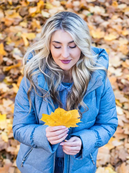 Сексуальна леді в осінньому теплому одязі в осінньому лісі або парку з листям, погода — стокове фото