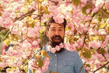 Doğal güzellik etrafımı sardı. Dışarıdaki yakışıklı sakallı adam. Mutlu Paskalyalar. Kiraz çiçekli hippi. Sakura çiçekli adam. Pembe narin çiçek. Bahçe konseptinde hafta sonu. Parkta yürü. Nisan olayları