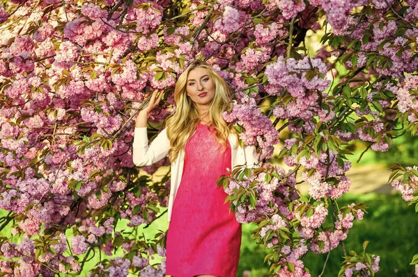 - Graag gedaan. fashion model in Japanse sakura bloei. mooi meisje in de lente bloem. Zomer schoonheid en mode. sexy dame in het park. Voorjaarsvrouw in kersenbloei. meisje roze bloesem — Stockfoto