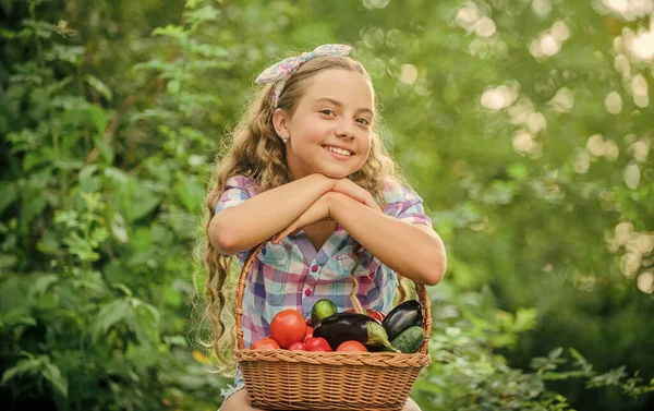 Гарна їжа. щасливий маленький фермер. осінній урожай. дитина на літній фермі. Органічна їжа. зібрати вітамін. весняний ринок саду. маленька дівчинка овоч у кошику. Тільки натуральні. здорове харчування для дітей — стокове фото
