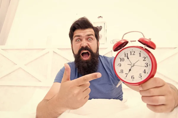 What time is it. Stressed man alarm clock. Sleepy man holding alarm clock in bed. Bearded man with alarm clock. Hipster want to sleep. Hate early morning awakening. Daily stress. Get up right now — Stock Photo, Image