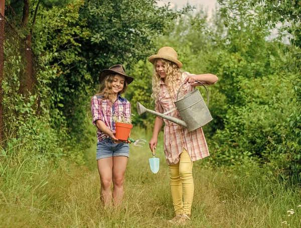 Lányok kalapban növényeket ültetnek. Rusztikus gyerekek természet háttér. Mezőgazdasági koncepció. A nővérek segítenek a farmon. Családi farm. Gyerekek szórakoznak a farmon. Öko-gazdálkodási koncepció. Ültetés és öntözés — Stock Fotó