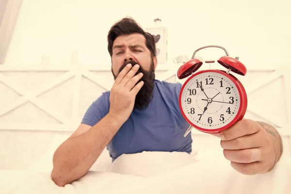 Acorde cedo todas as manhãs. Benefícios para a saúde decorrentes do aumento precoce. Acordar cedo dá mais tempo para se preparar e ser oportuno. Homem barbudo Hipster na cama com despertador. Hora de acordar. Hábitos saudáveis — Fotografia de Stock