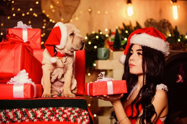 Είσαι έτοιμος; έτος σκύλου. Καλά Χριστούγεννα. τέλειο χριστουγεννιάτικο δώρο. Το καλύτερο δώρο που έγινε ποτέ. σέξι γυναίκα με καπέλο Άι Βασίλη. αισθησιακό κορίτσι με ερωτικά εσώρουχα. κορίτσι με χαριτωμένο κουτάβι. Ευτυχισμένο το νέο έτος — Φωτογραφία Αρχείου
