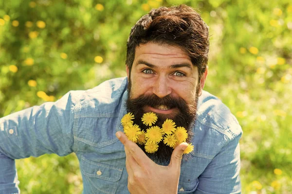 Happy man no allergy. Spring allergy concept. Fashion and beauty. Pollen allergy. Taking antihistamines makes life easier for allergy sufferers. Man with yellow dandelions in beard. Breathe free