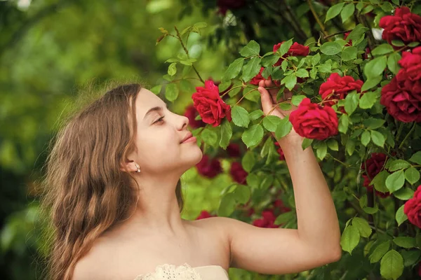 El olor es perfecto. árbol floreciente de primavera. naturaleza de verano. moda peluquera femenina. niña pequeña con el pelo rizado largo. Pequeña belleza en vestido blanco. Niño ángel de la boda. niño disfrutar de rosa flor en el parque —  Fotos de Stock