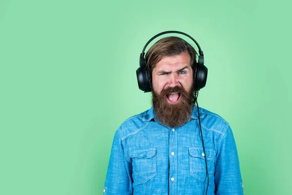 Den skäggiga mannen lyssnar på musik. Brutala hipster bär hörlurar. Internetutbildning. Ha det så kul. orakad kille lyssnar på e-bok. Ny teknik i det moderna livet. ljudkvalitet — Stockfoto