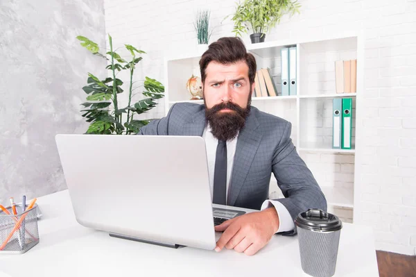 Internet surfing. Confident computer user. Businessman use computer for business. Bearded man work on computer in office. Computer marketing. Business communication. New technology. Modern life