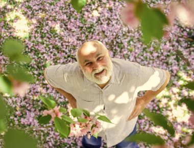 Çiçek parkında dinleniyor. Hasır şapkalı gri sakallı son sınıf öğrencisi. Mutlu emeklilik. Büyükbaba pembe sakura çiçeklerini izlerken gülümsüyor. Kiraz çiçekli ağaçtaki adam. Yaşlı adam bahar doğasının tadını çıkarıyor.