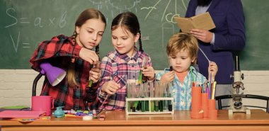 Çocuklara önemli bilgileri paylaşmayı öğretmek. Tecrübe bilgiyle gelir. Resmi eğitim. Kimya dersleri. Grup etkileşimi ve iletişim. Bilimsel çıkarları destekleyin. Pratik bilgi