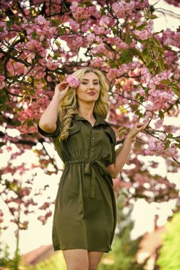 Merhaba yaz. Pembe kiraz ağacı çiçekleri. Çiçek aroması tedavisi. Eski ve eski moda. Saf güzellik dişisi. Tasasız ve mutlu bir kadın. Seksi kız sakura çiçeğinin tadını çıkarıyor. bahar çiçekli ağaç