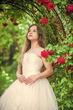 Gelin için küçük bir melek. Şirin bayan. Mutlu çocukluk. Güzellik ve moda. Güzel çocuk gül kokusu alıyor. Bahar ve yaz doğası. Bahçedeki küçük kız. Çocuk parkta çiçek açmanın tadını çıkarıyor. Düğünü bekliyorum.