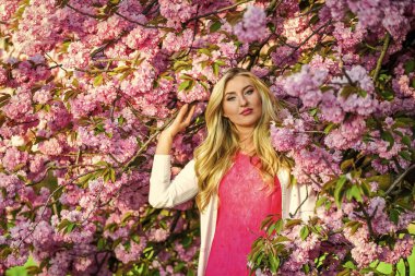 Sakura mevsimi. Harika bir kız. Kiraz çiçekli kız. Kadınlık. Sakura ağacı çiçek açıyor. Pembe mod. Bahar moda koleksiyonu. Kadın bahar çiçeği sakura çiçek açar. Bahçedeki sarışın kadın.