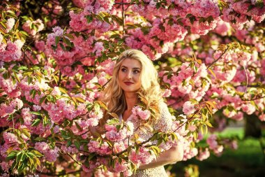 Bahar sembolü Kız bahçedeki sakuranın tadını çıkarıyor. Şefkat ve kadınlık. Kiraz ağacı. Çiçek aroması. Çiçeklerin kadınları mutlu etmesinin nedenleri. Dinlen ve tatil yap. Bahar çiçeği. Mutlu bahar günleri.