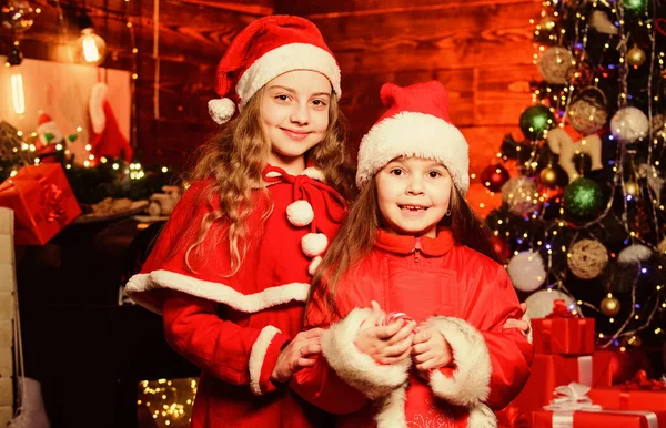 Çocuklar Noel karnaval partisine katılıyor. Noel Baba 'yı bekliyorum. Neşeli ol ve yılda bir kez gelecek Noel için iyi bir tezahürat yap. Sevimli kız kardeşler Noel 'i evde kutlarlar. Sihir zamanı