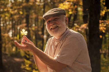 Ekim yine geldi. Mutlu emekli ekim ayında yaprakları topluyor. Kıdemli adam Ekim yeşilliğinin tadını çıkarıyor. Mutlu ekimler. Idyllic sonbahar manzarası. Sonbahar doğası. Doğal ortam
