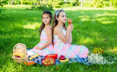 Aile pikniği. Küçük kızlar yeşil çimlerde piknik yemeği yerler. Yaz tatili. Dışarıda yemek yiyorum. Lezzetli yemeklerle günün tadını çıkar.