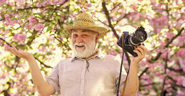 Capturar a beleza. Fotógrafo no jardim florescente. Senior man hold câmera profissional. Cursos de fotografia. Avô feliz. Viagens e turismo. Férias. Foto de viagem. Viagens de reforma — Fotografia de Stock